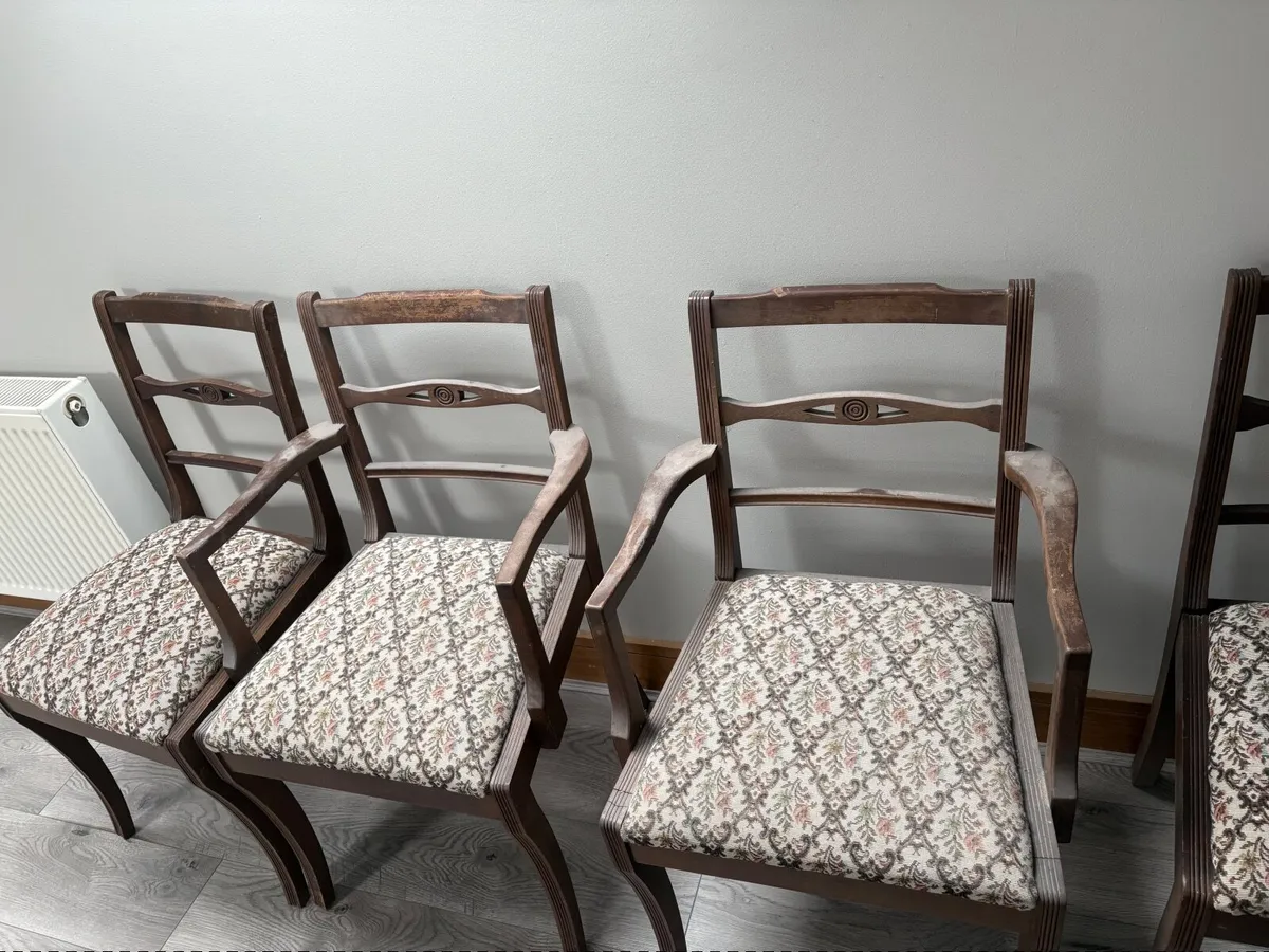 Antique dinner room chairs - Image 4