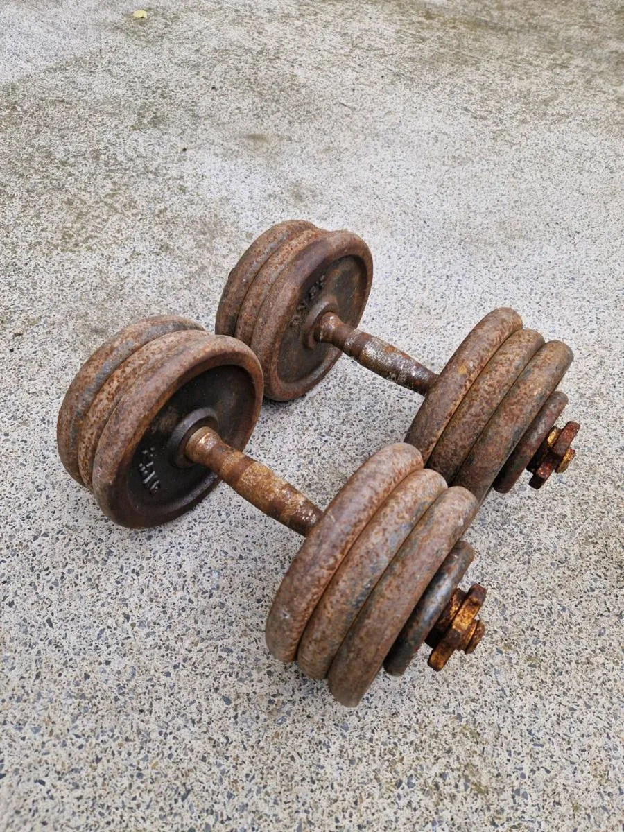 17.5 kg Dumbbells Adjustable - Image 1