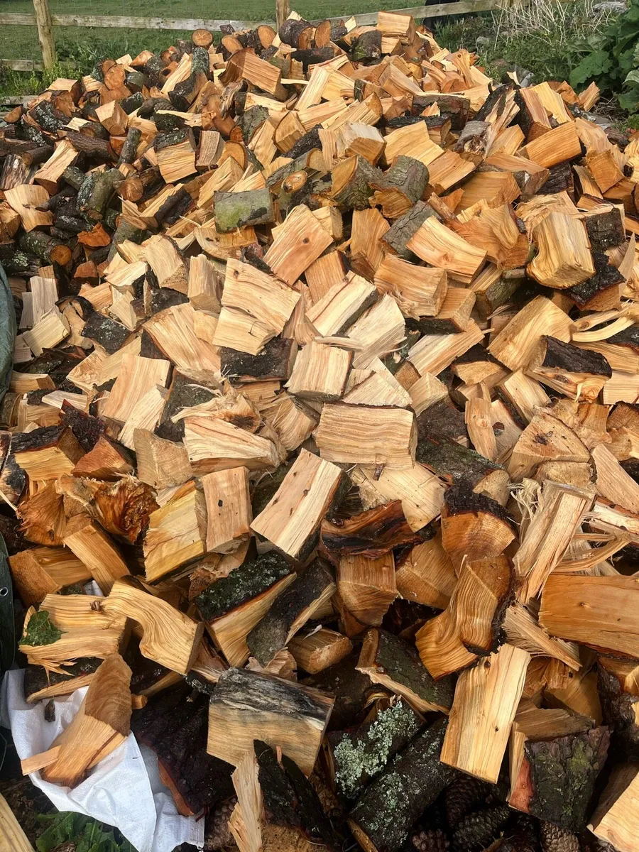Firewood