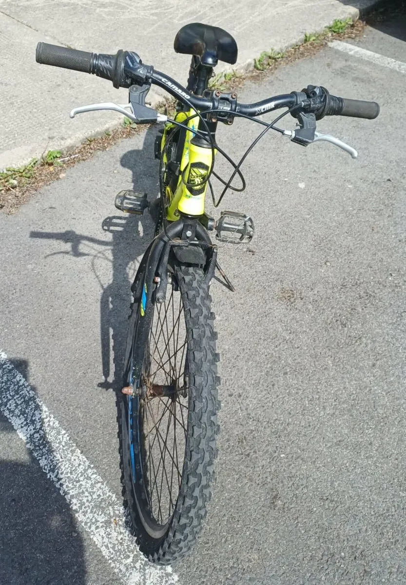 Bicycle - Image 2