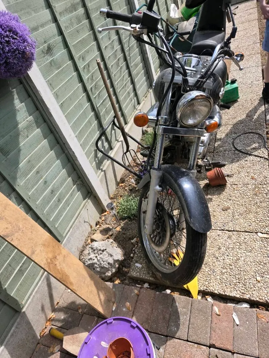 Suzuki intruder 250 - Image 3