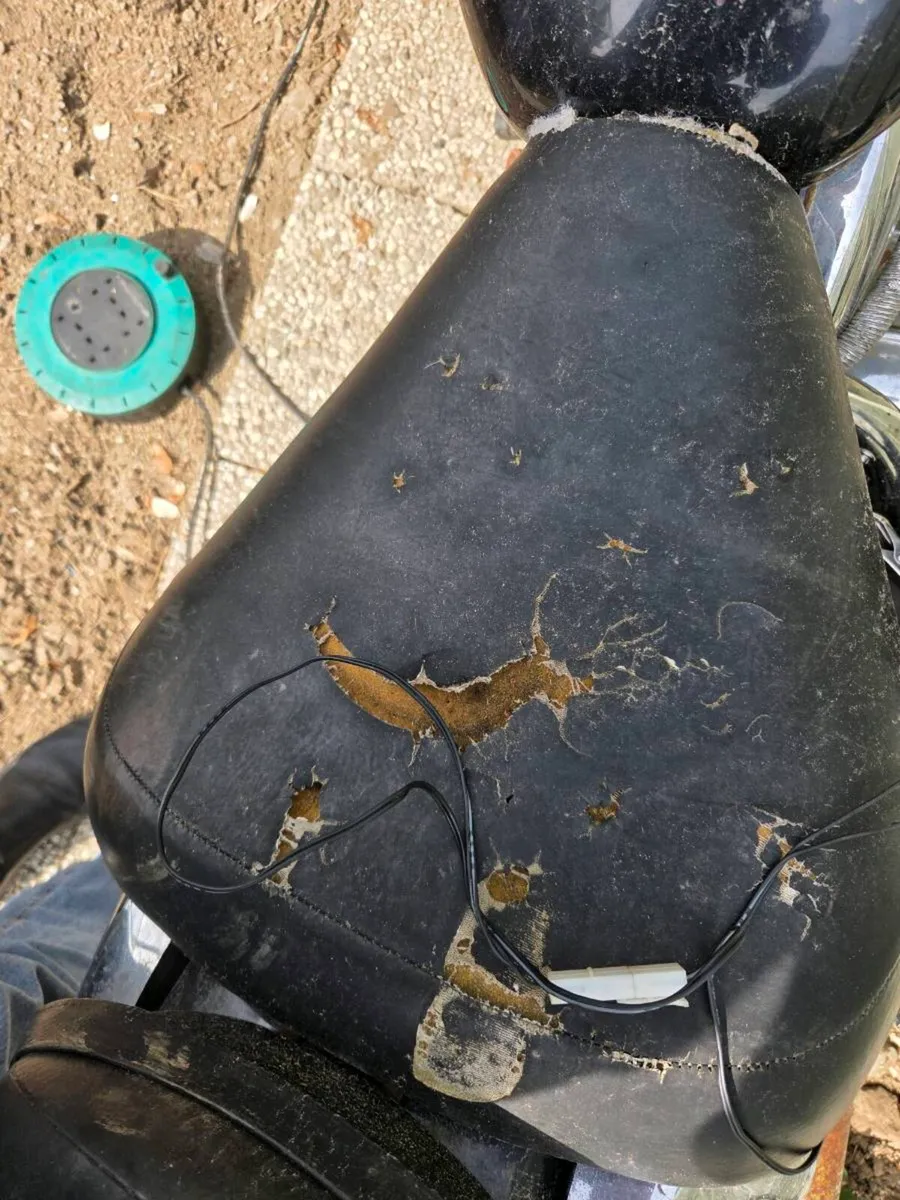 Suzuki intruder 250 - Image 4