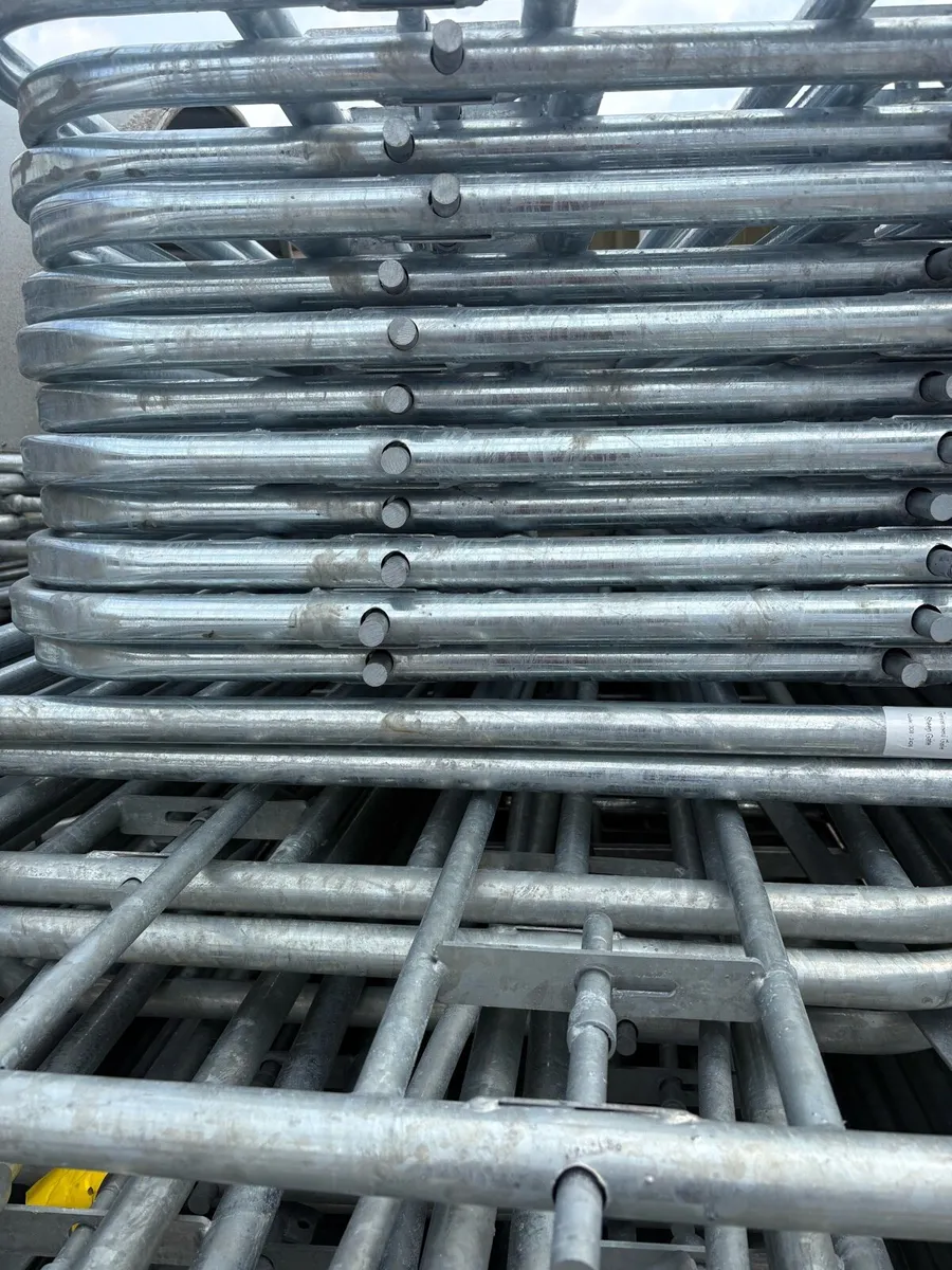 Gates slightly damaged - Image 2