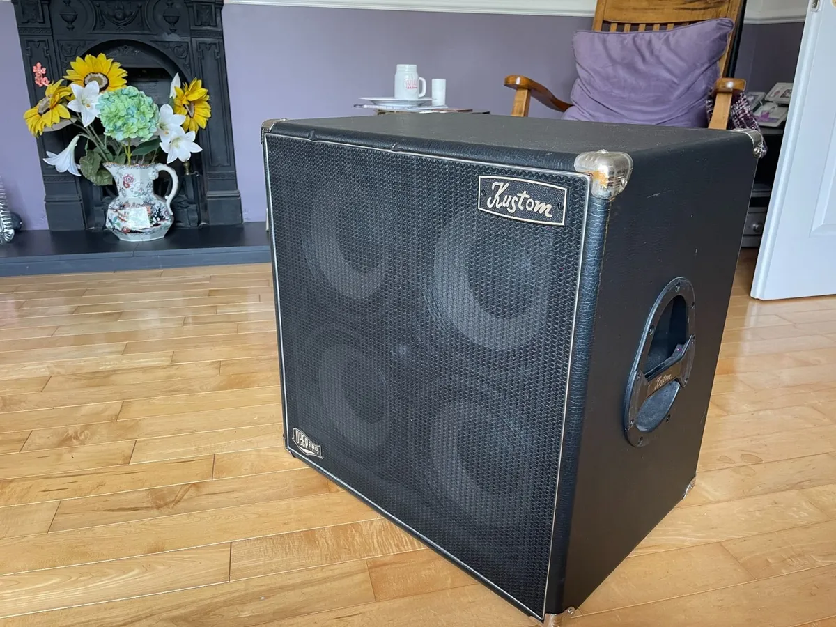 Bass amp extension cabinet - Image 4
