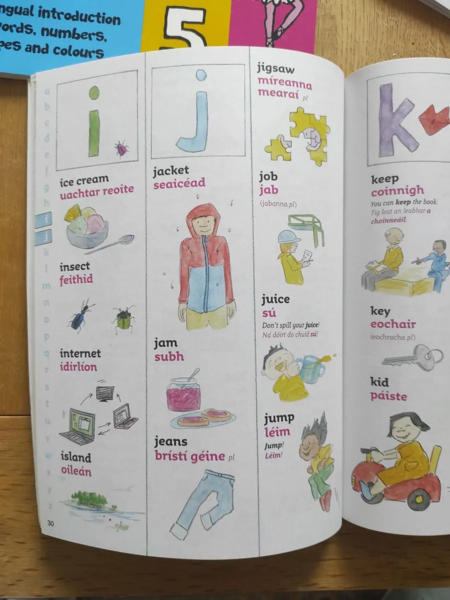 Set of Basic Irish Books Contact+34635975274 - Image 4