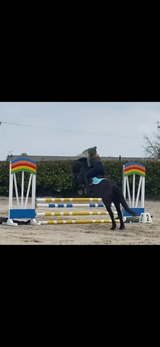 12.2hh Pony - Image 2
