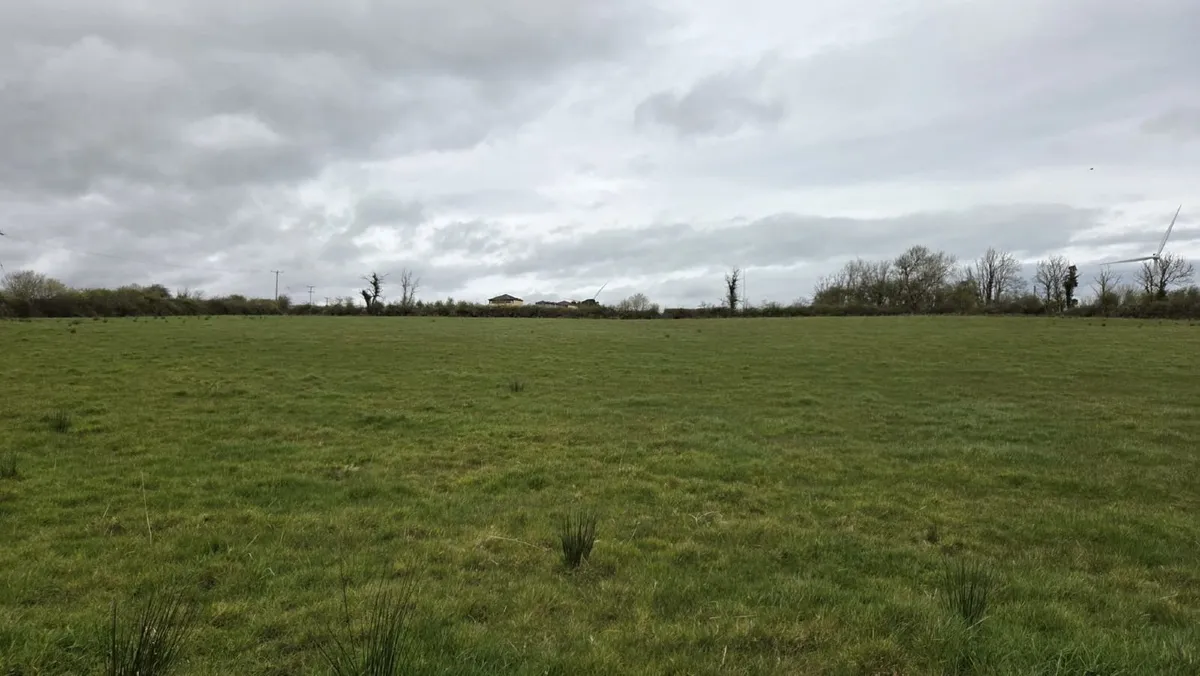 Land for lease - Image 2