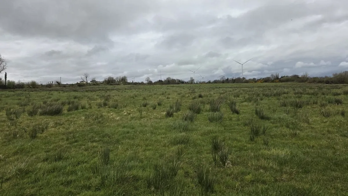 Land for lease - Image 3