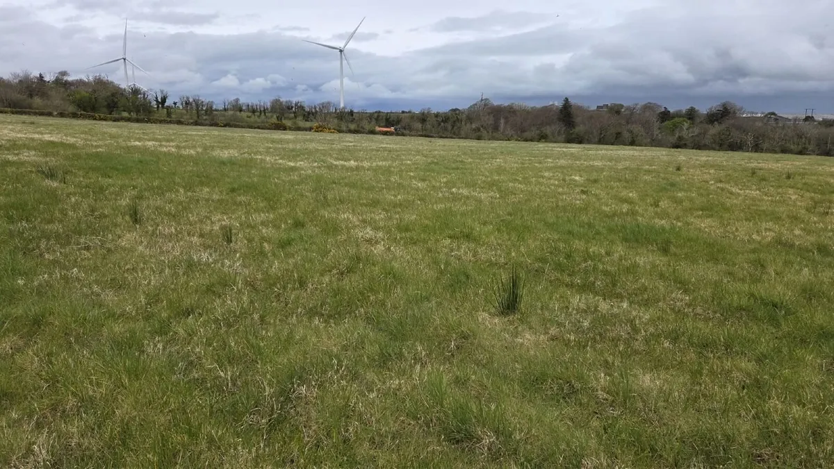 Land for lease - Image 4
