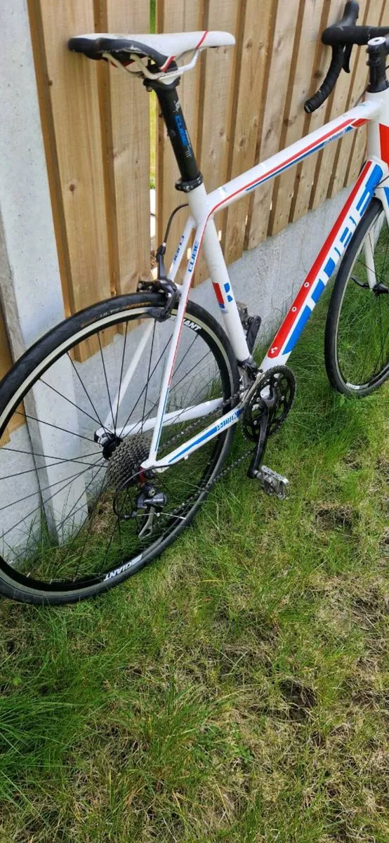 Cube Peloton race ( serviced ) ( delivery ) - Image 2