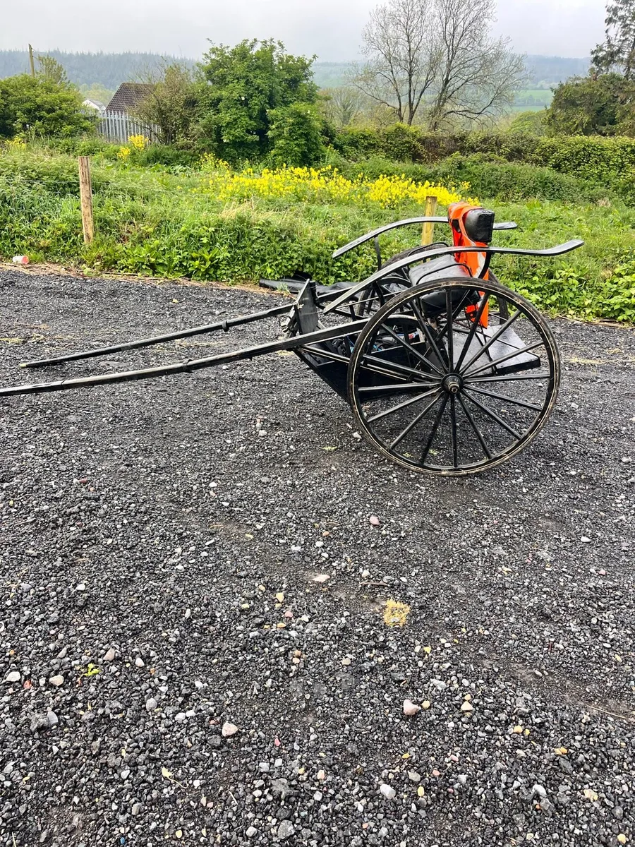 Pony trap - Image 2