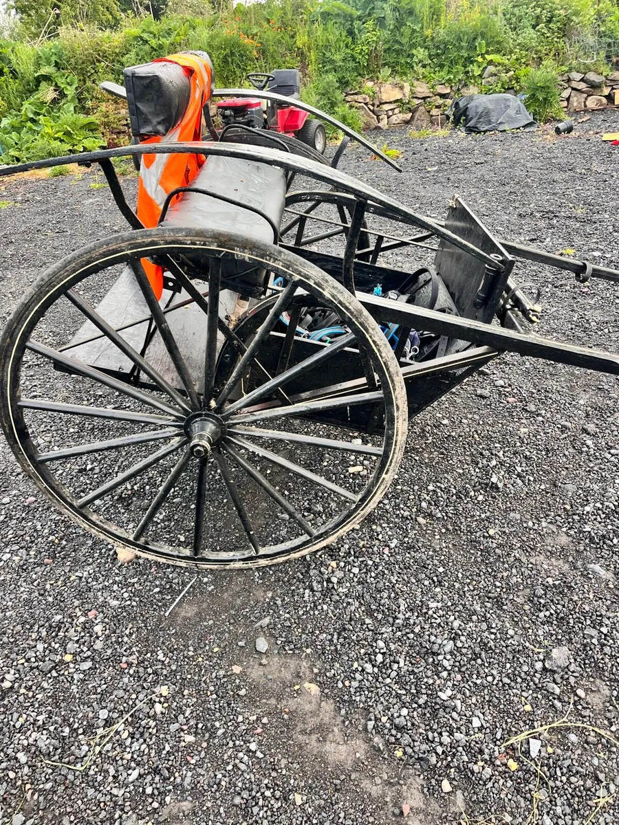 Pony trap - Image 1