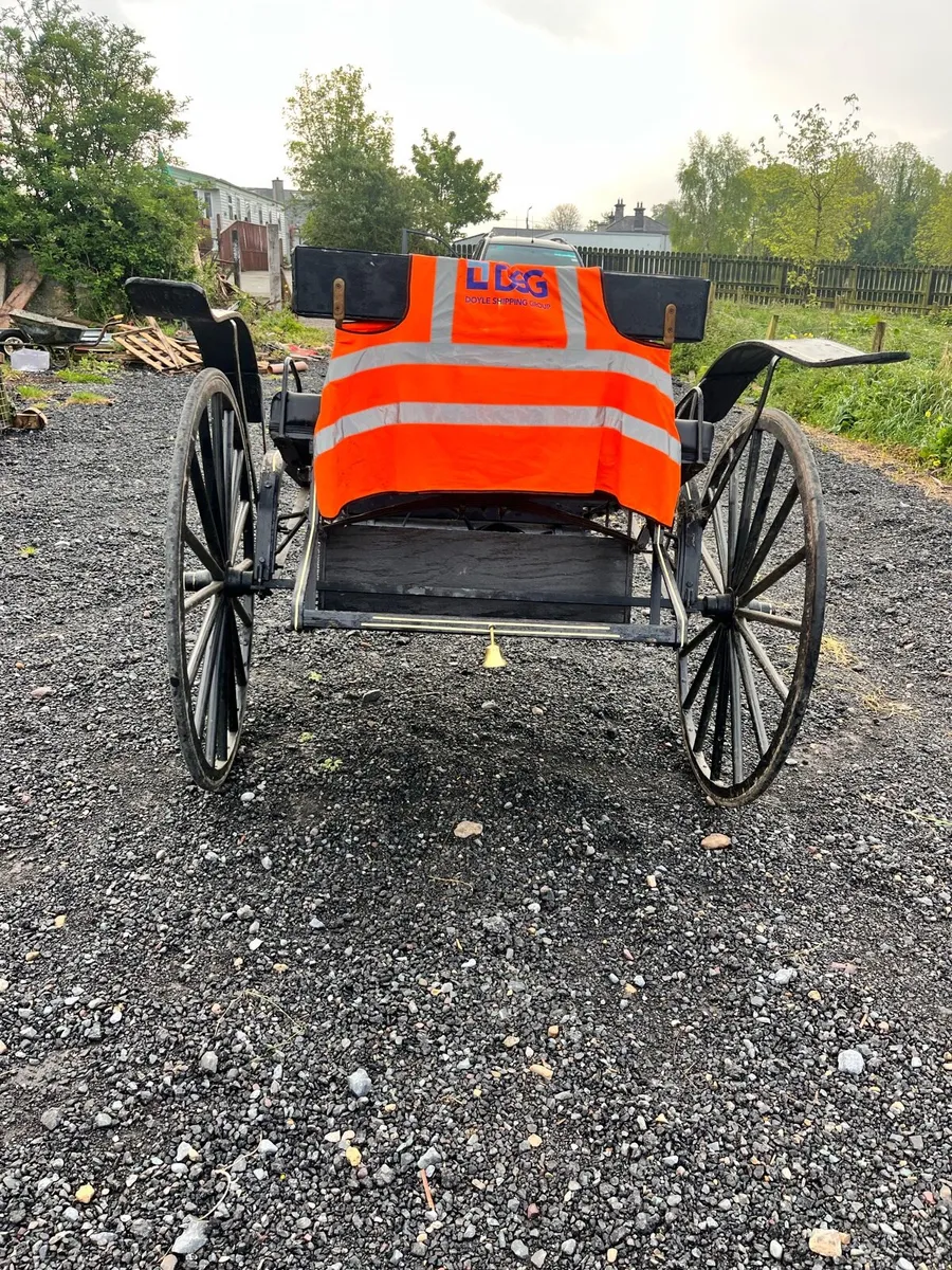 Pony trap - Image 3