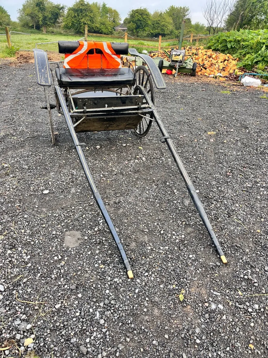 Pony trap - Image 4