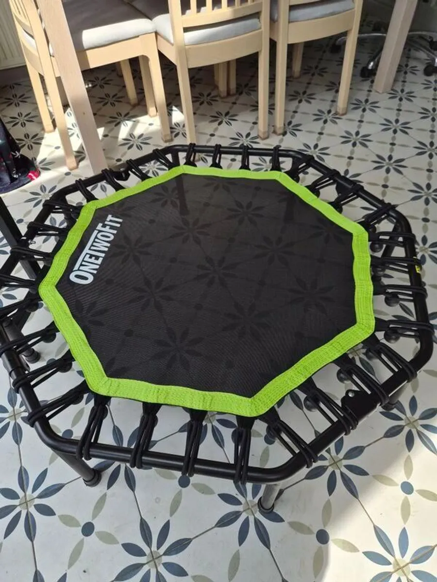 Rebounder - Image 1