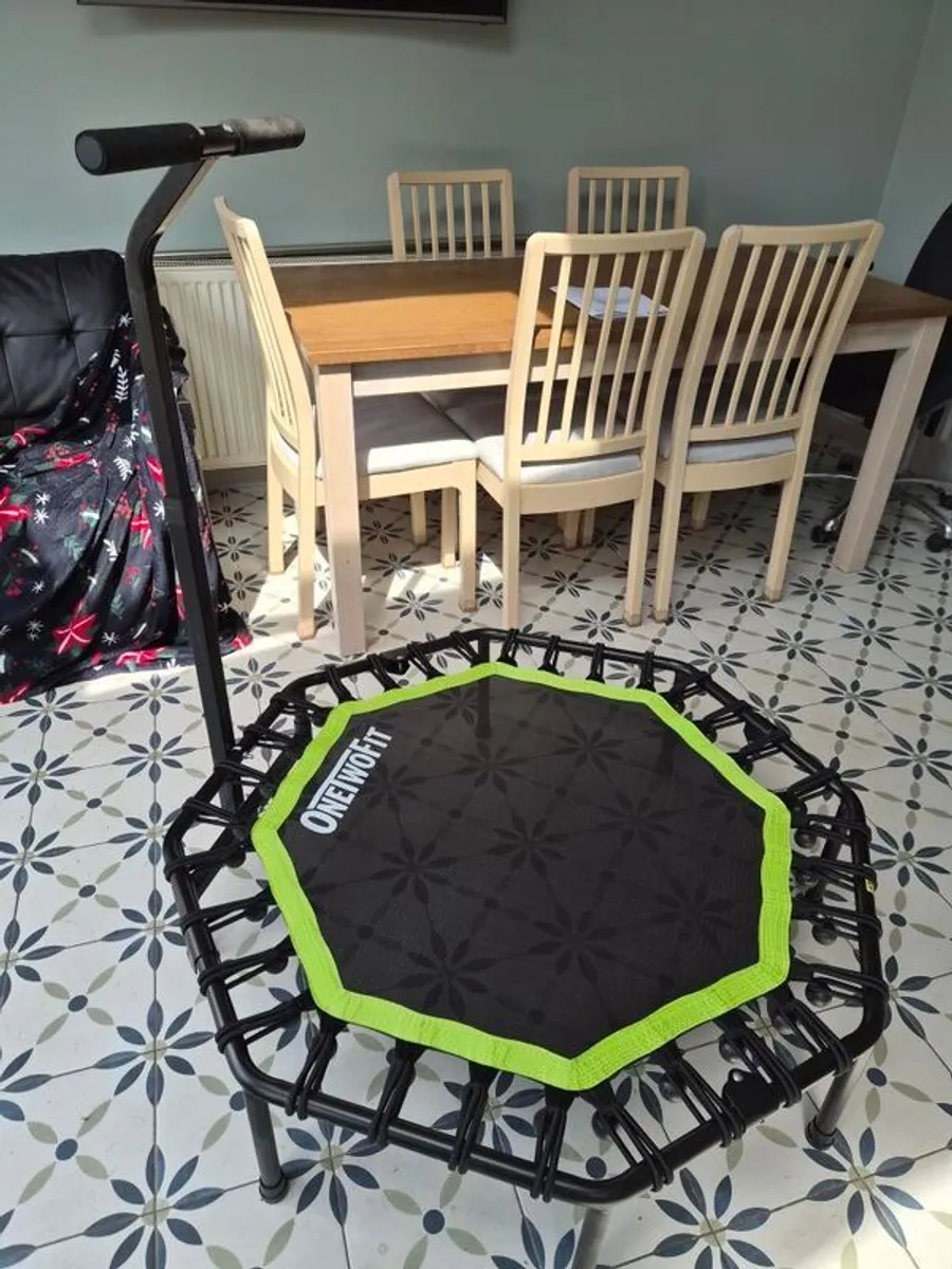 Rebounder - Image 2