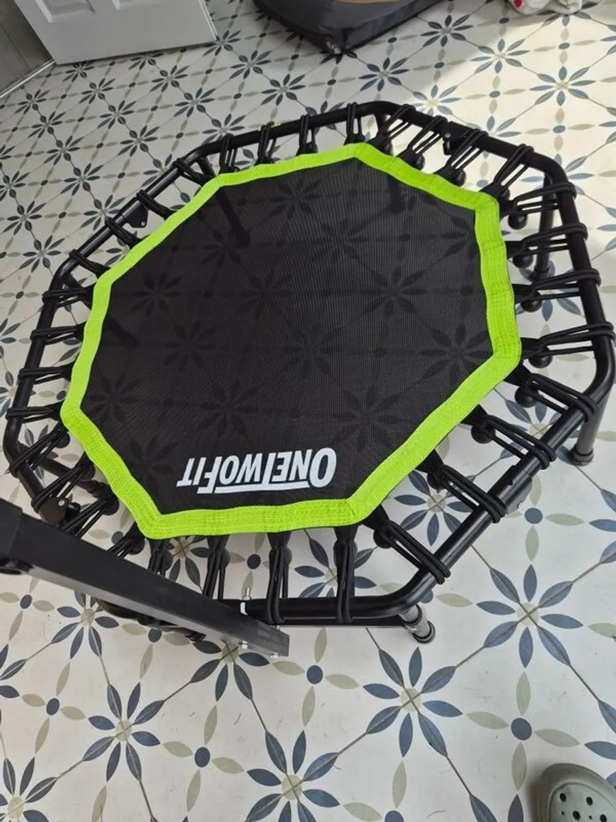 Rebounder - Image 3