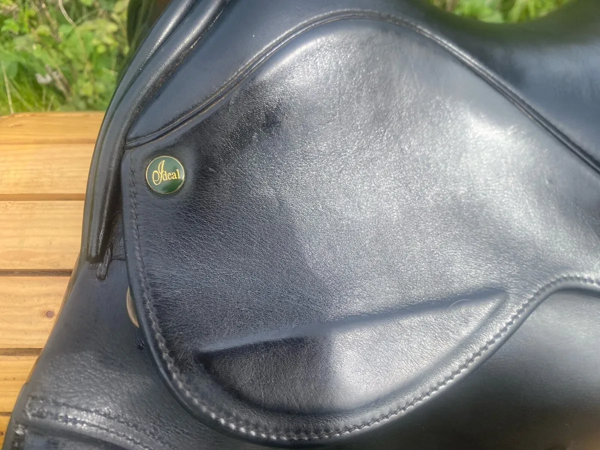 17.5 WIDE Ideal black leather jump saddle - Image 4