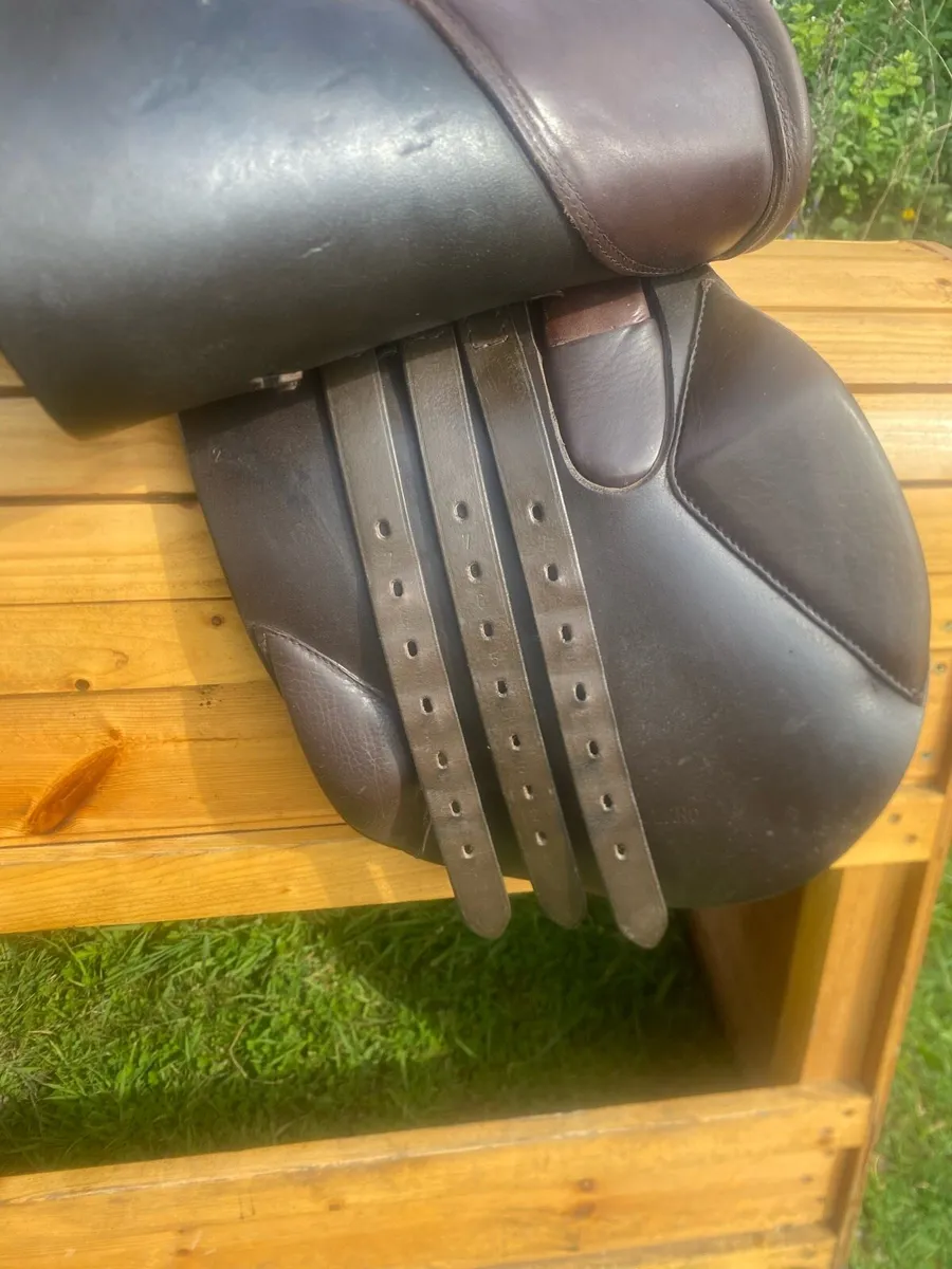 Ideal close contact jumping saddle 16.5-17” - Image 4