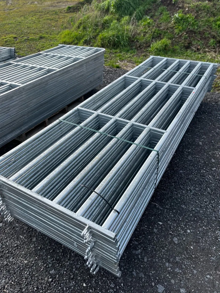 NEW Sheep gates, End of lambing season clearance - Image 4