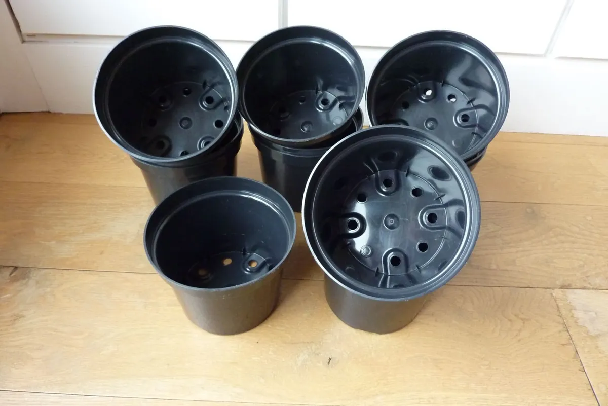 Flower pots - Image 2