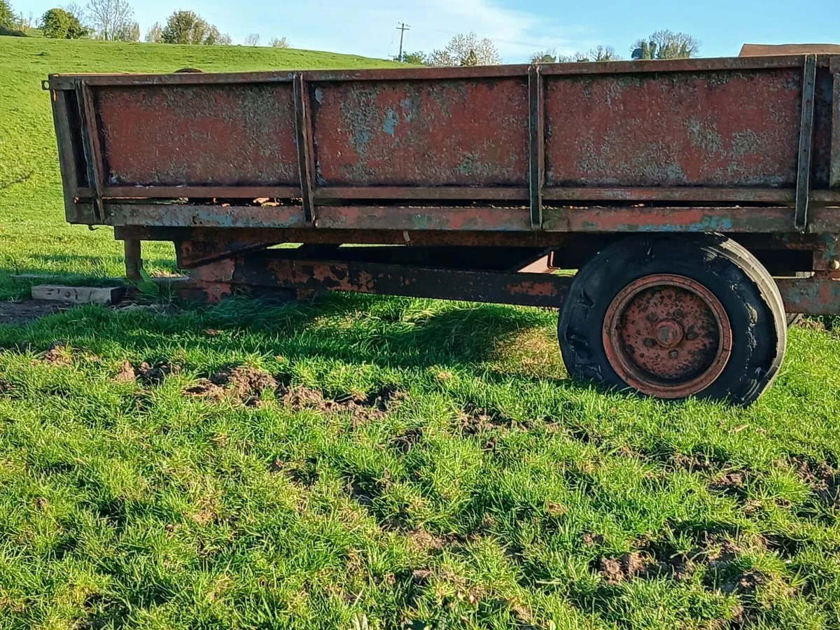 Tipping trailer - Image 3