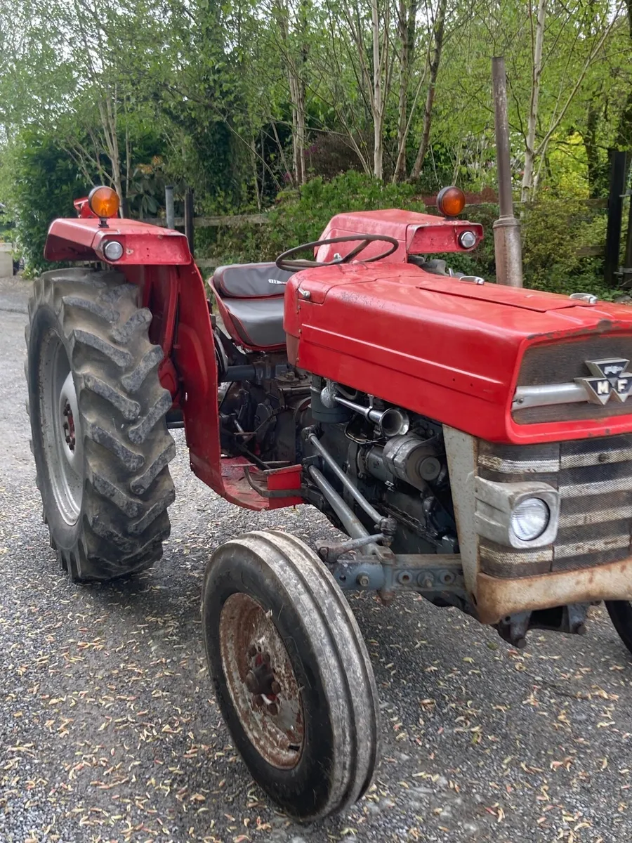 Massey 135 - Image 1