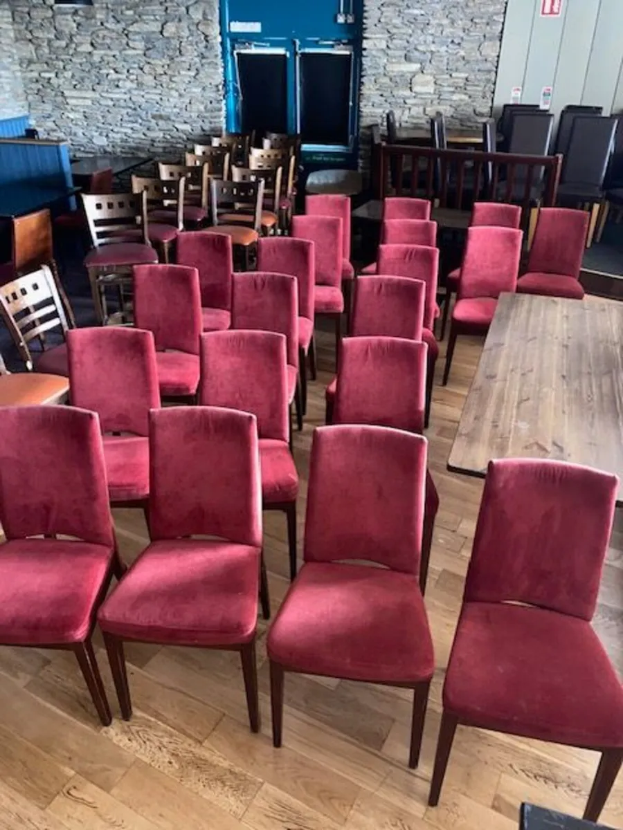 Dining Chairs x 24 @ €30.00 each - Image 1