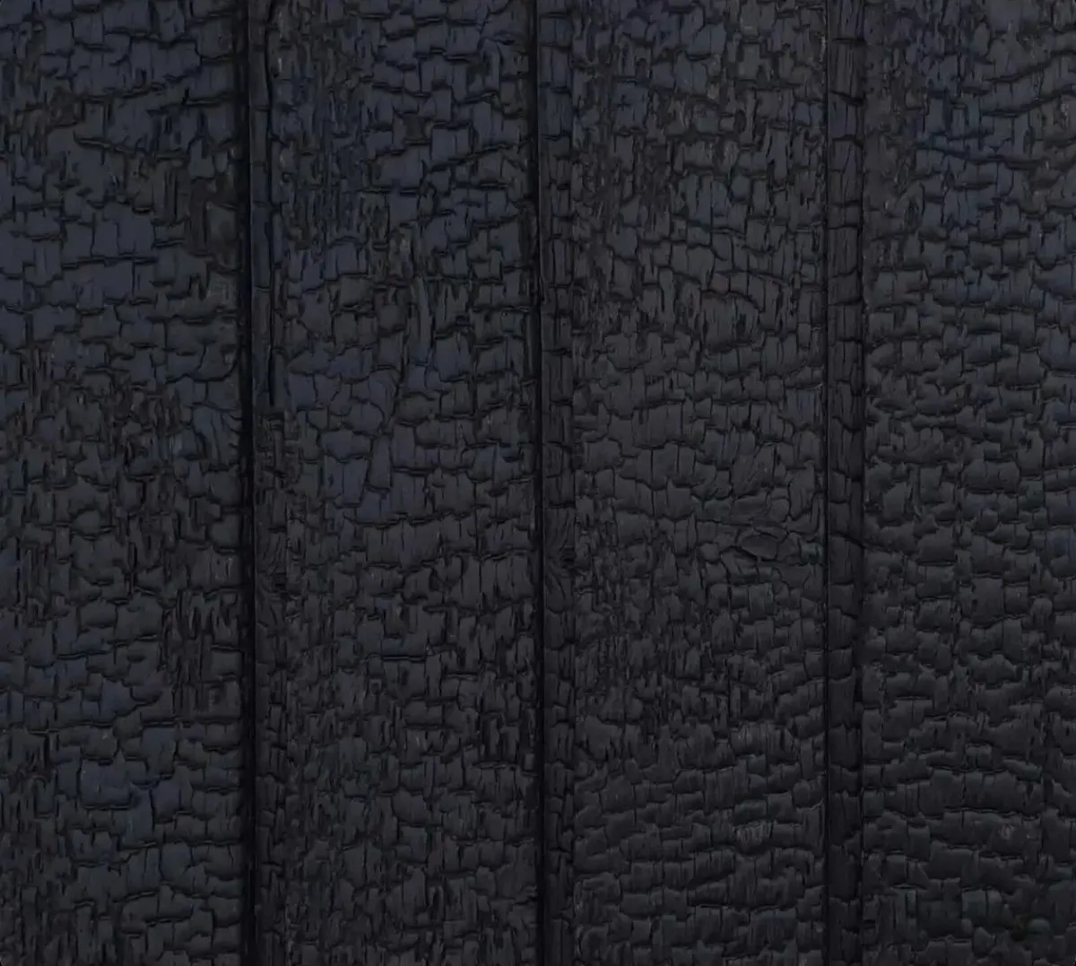 Charred larch timber (shou sugi ban / yakisugi) - Image 1