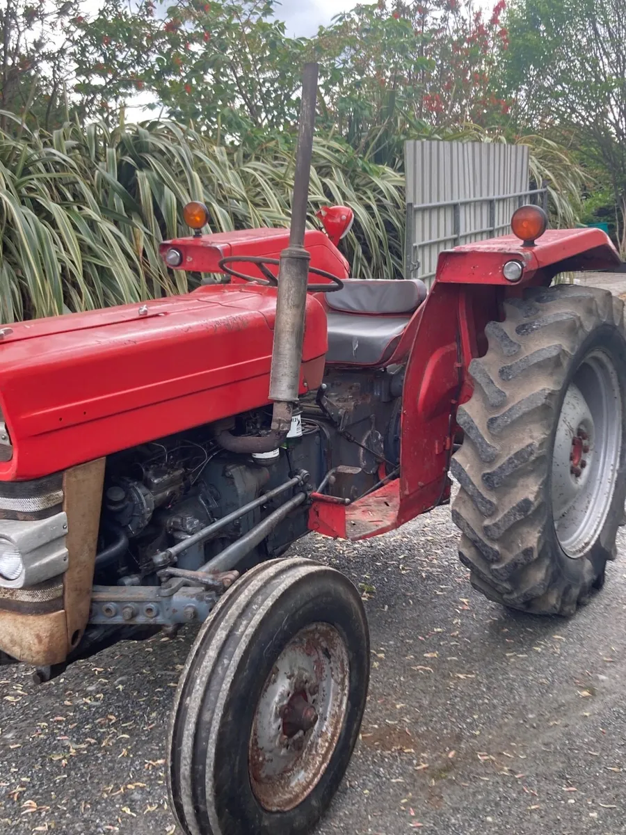 Massey 135 - Image 2
