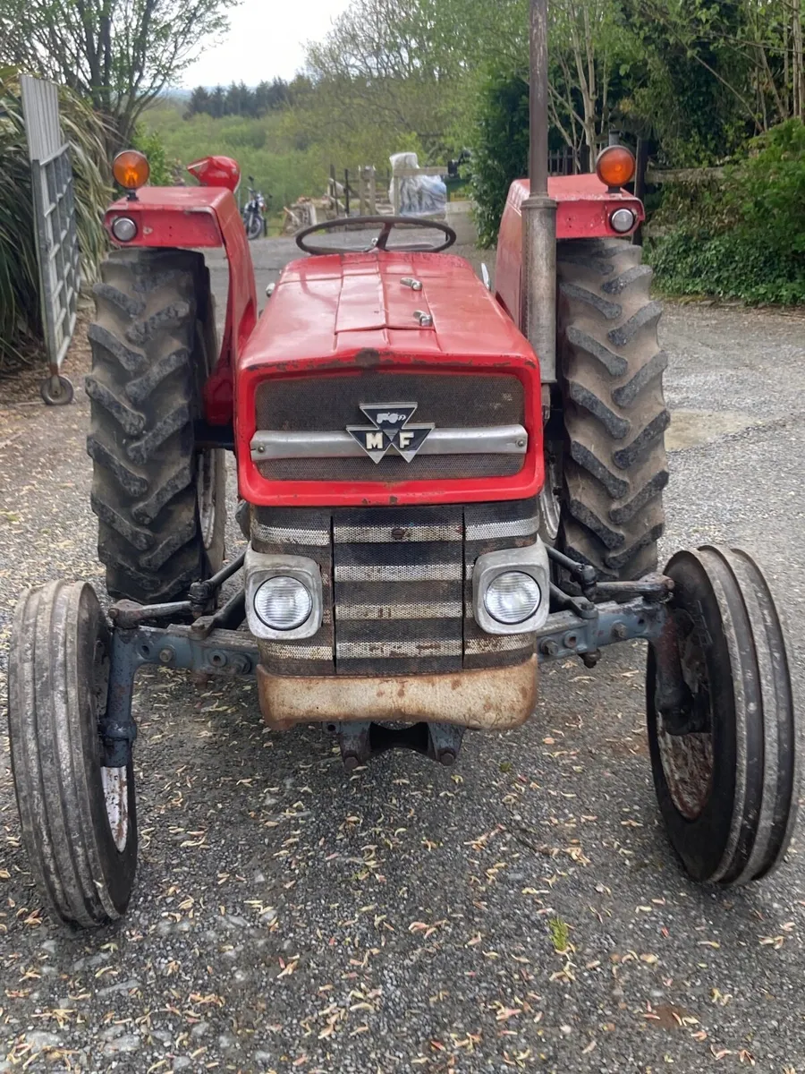 Massey 135 - Image 3