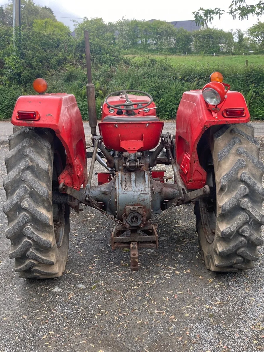 Massey 135 - Image 4