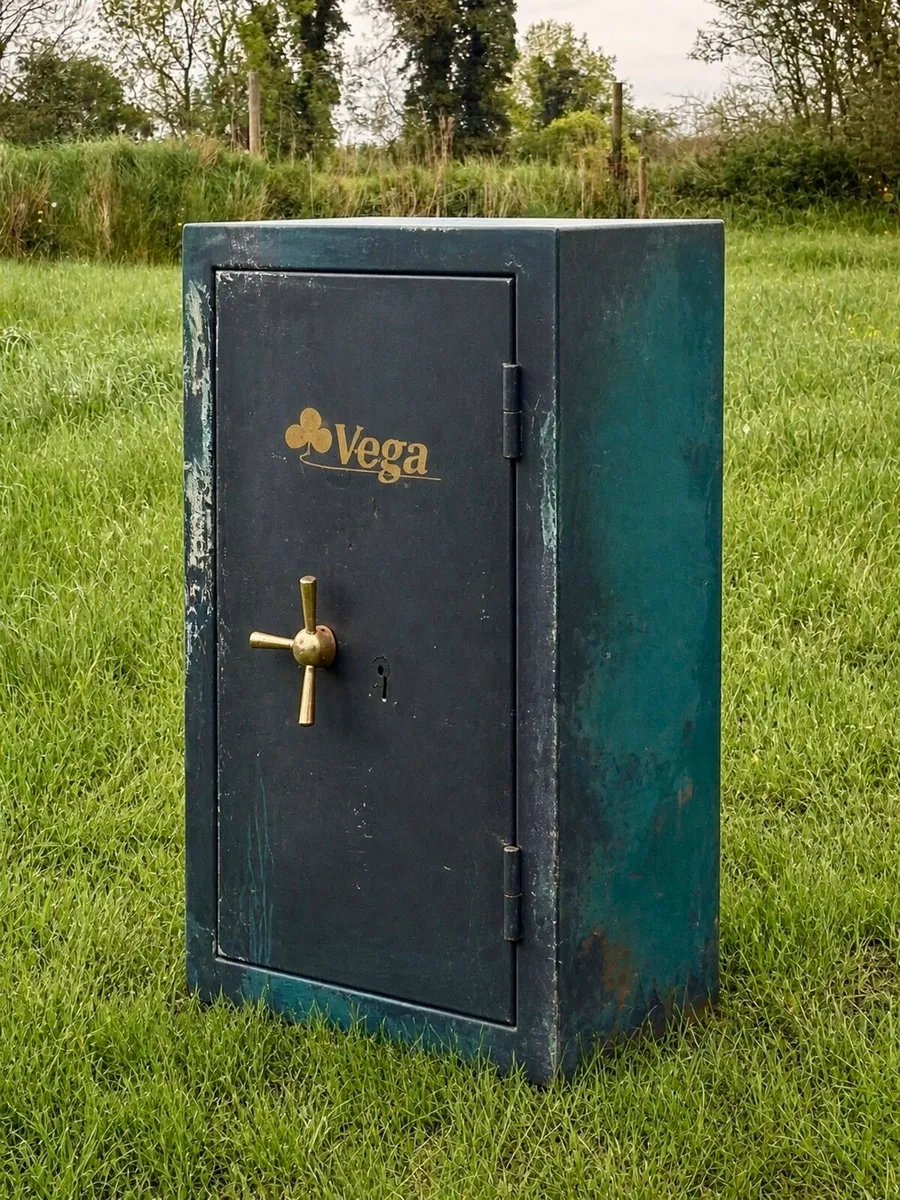Gun Safe