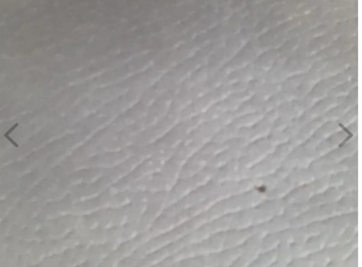 Sofa - Image 3