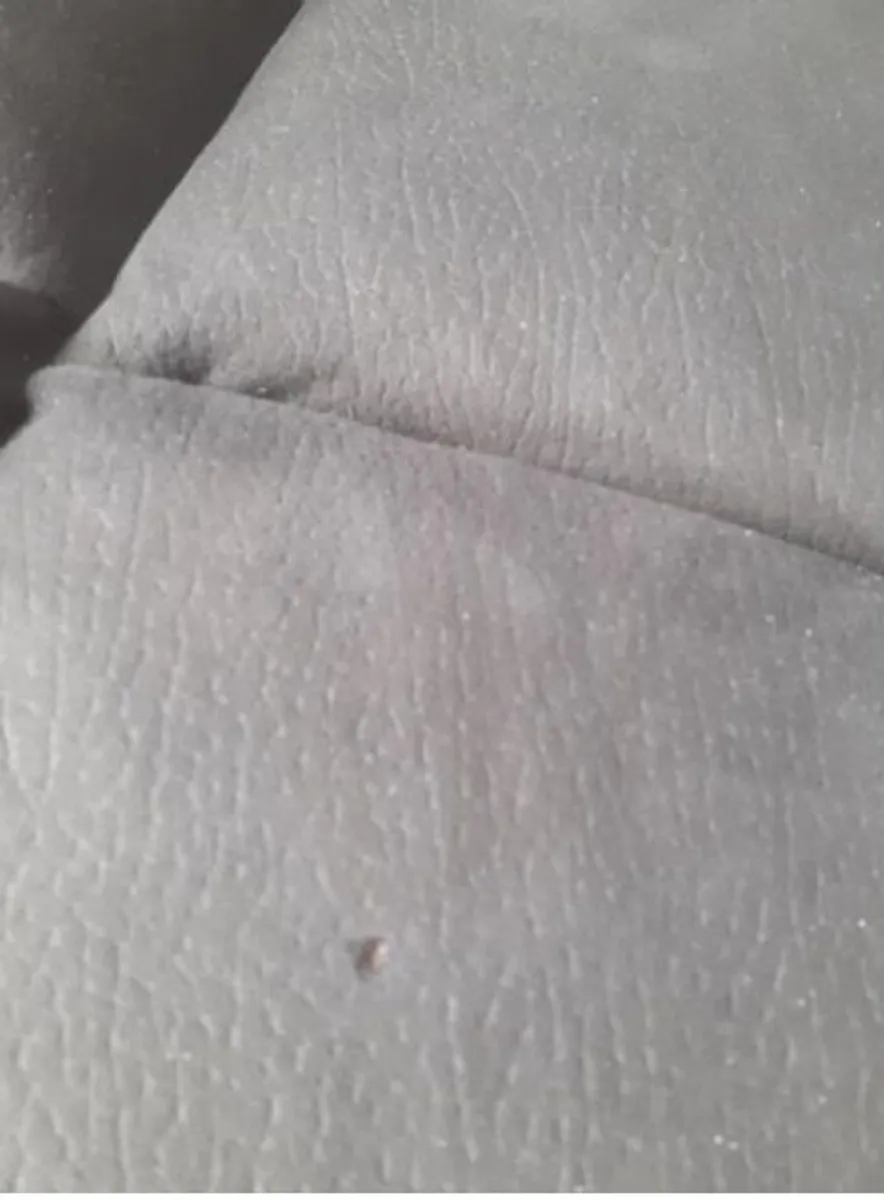 Sofa - Image 4