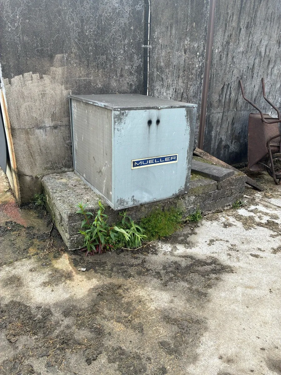8200 lts mueller milk tank - Image 3