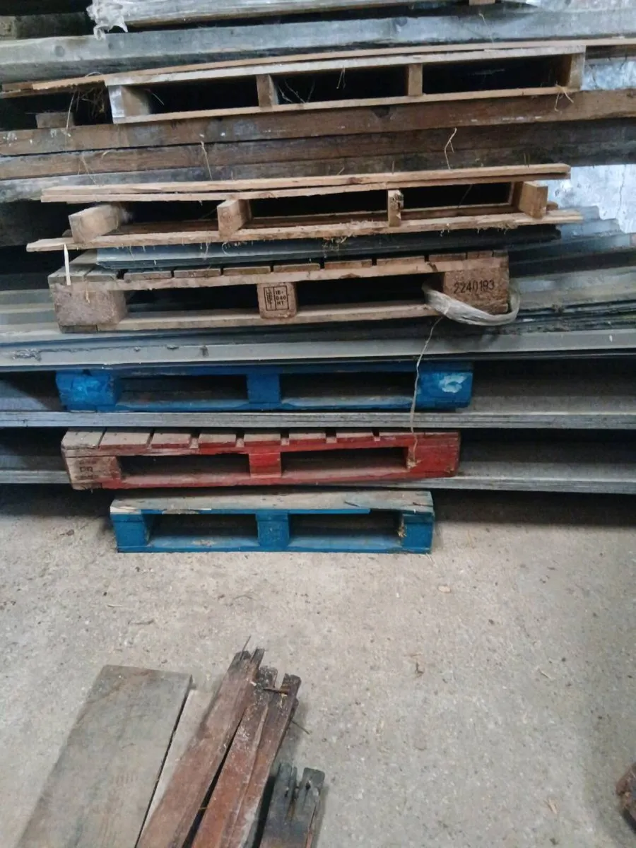Shed - Image 4
