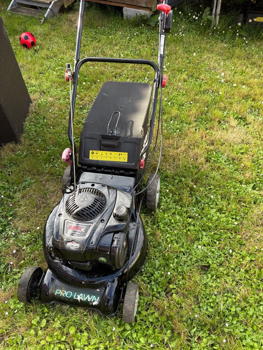 Pro lawn