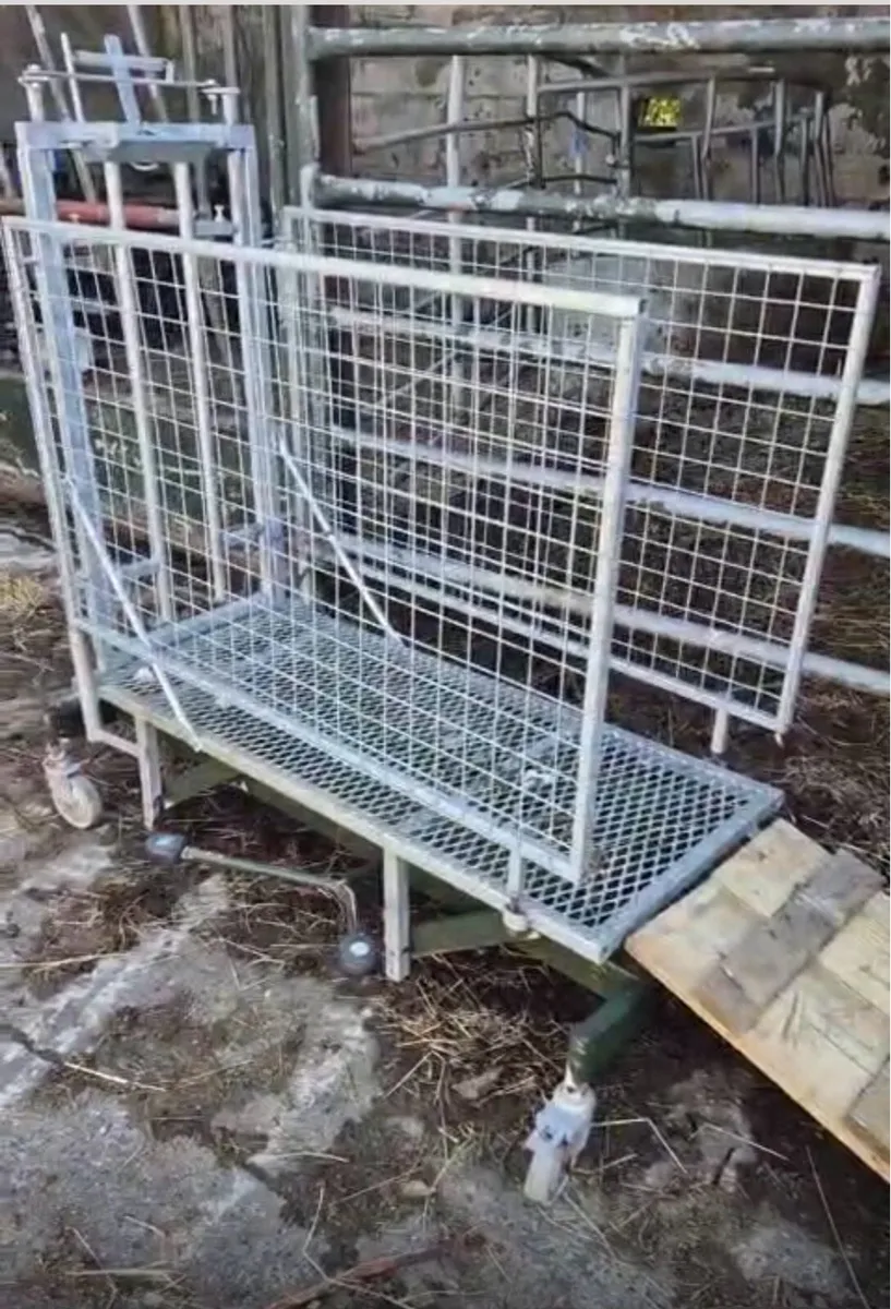 Sheep Crate - Image 1