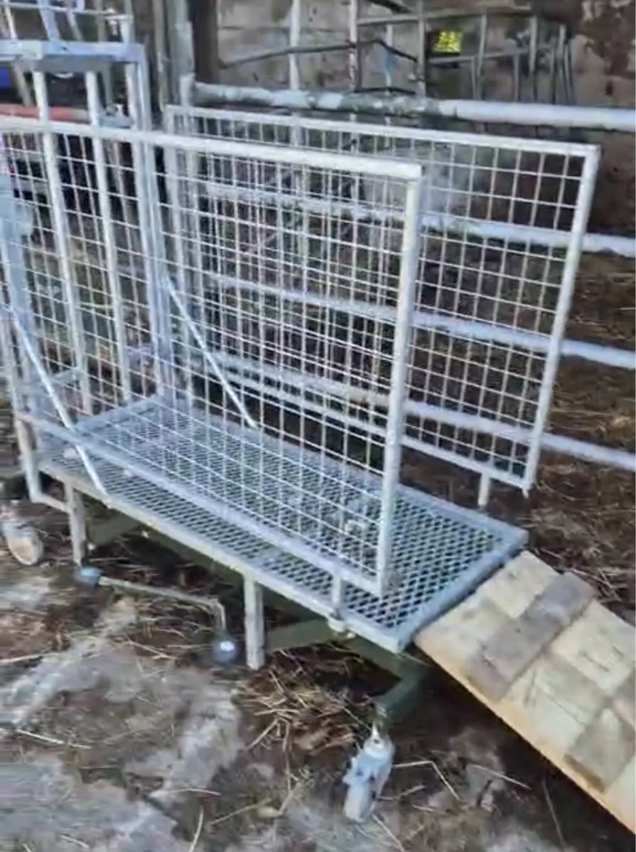 Sheep Crate - Image 3