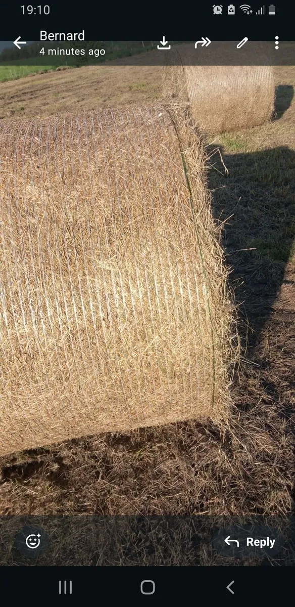 Free Round Bales - Image 1
