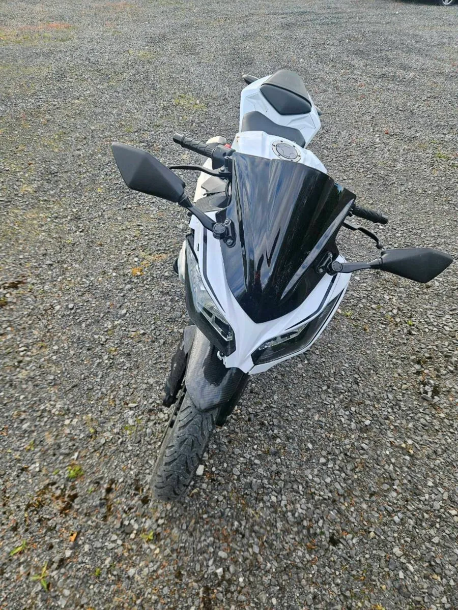 Kawasaki Ninja 300 - Image 3