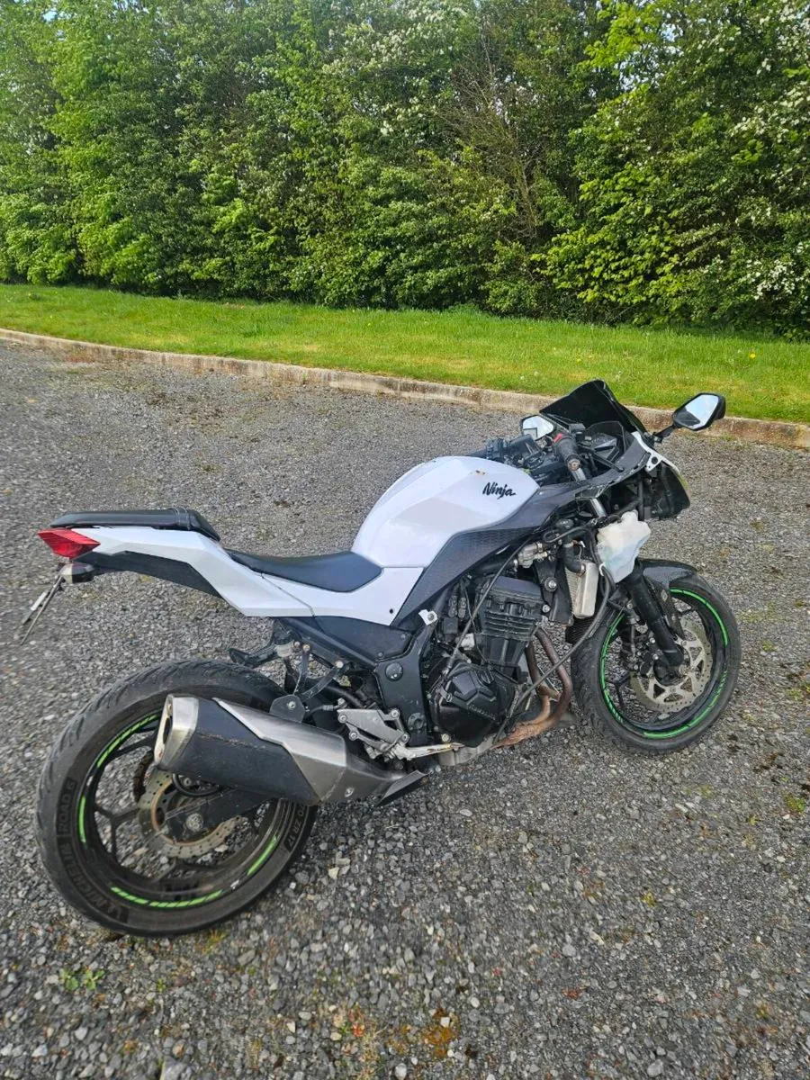 Kawasaki Ninja 300 - Image 4