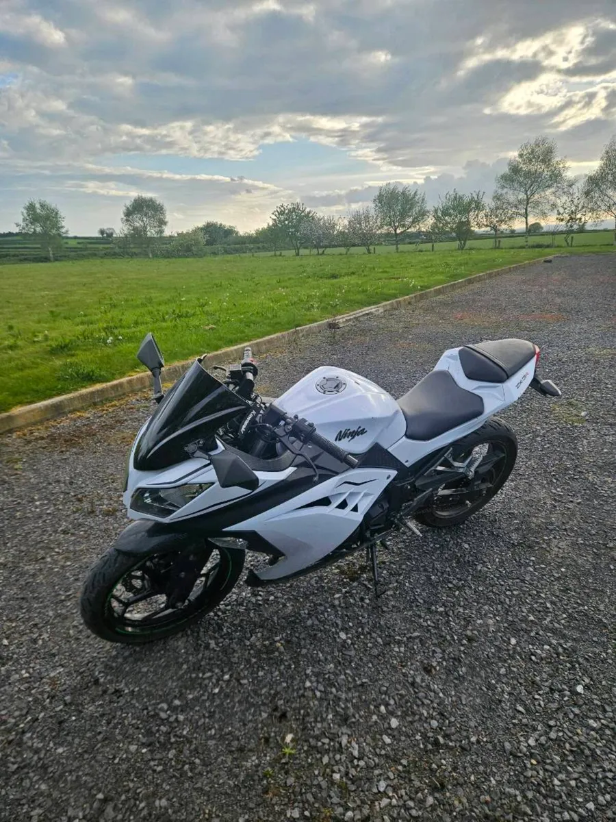Kawasaki Ninja 300 - Image 1