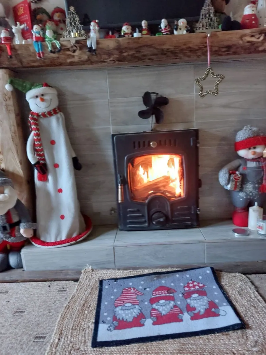 Insert stove with back boiler - Image 2