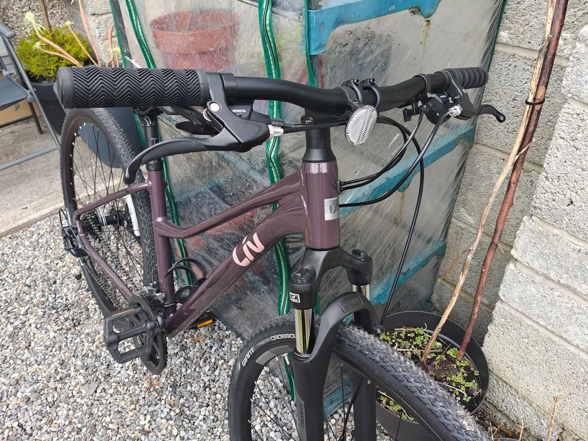 Liv Rove Ladies Bike - Image 2