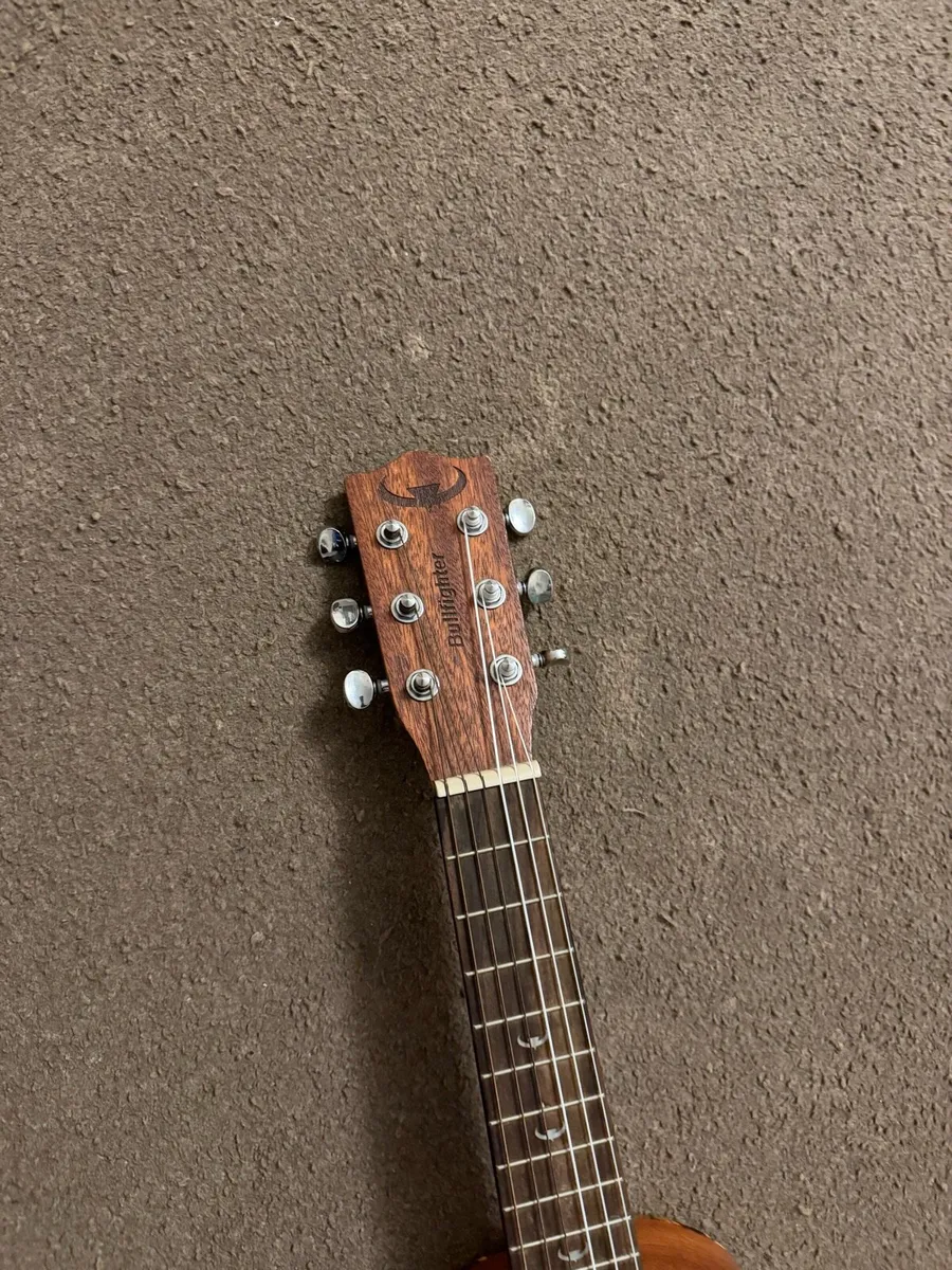 Traveller Acoustic Guitar - Image 2
