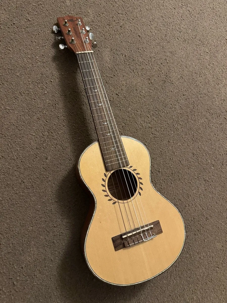 Traveller Acoustic Guitar - Image 1