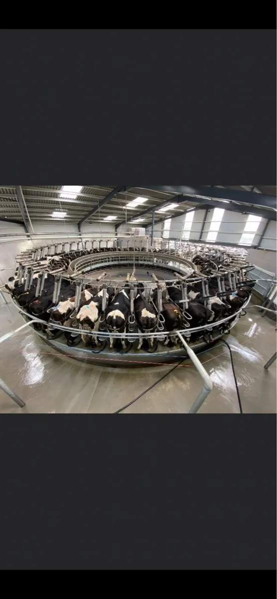 Milker wanted