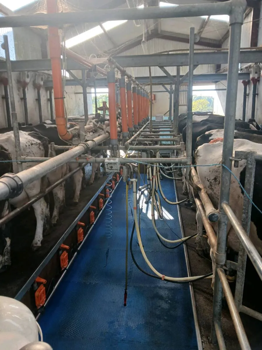 Looking for gascoigne milking machine